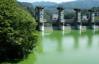 緑色のダムの水